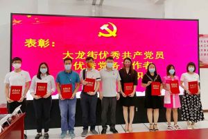乐玩体育在线（中国）集团党支部荣获先进党组织称号、陈文舒党支部书记荣获优秀党