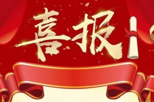 关于2022年度人力资源服务评选结果的通报，祝贺乐玩体育在线（中国）集团