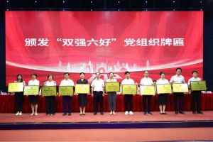喜报！乐玩体育在线（中国）集团党支部荣获广州市非公有制经济组织“双强六好”党