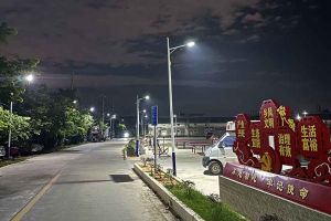 乐玩体育在线（中国）集团罗宁弟爱心捐赠路灯，点亮乡村路温暖乡民心