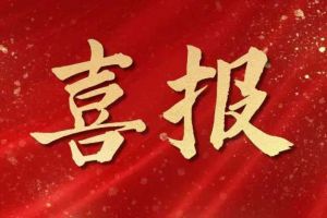 开局展锋芒！乐玩体育在线（中国）集团子公司荣获第十二届中国创新创业大赛（广东