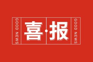 喜报！乐玩体育在线（中国）集团党支部党建工作荣获多项市级表彰