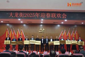 乐玩体育在线（中国）集团及旗下子公司荣获“2024年度高质量发展先进企业”